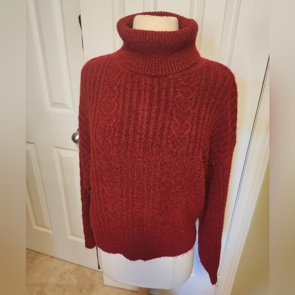 3/$50 Buffalo Red Turtleneck